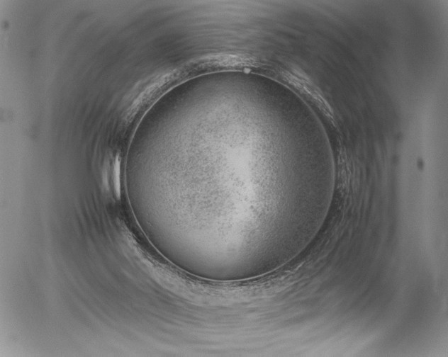 X0000057080014200509091259