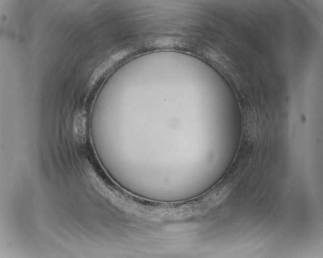 X0000057080016200509091259