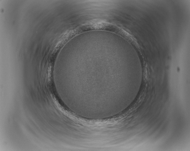 X0000057080018200509091259