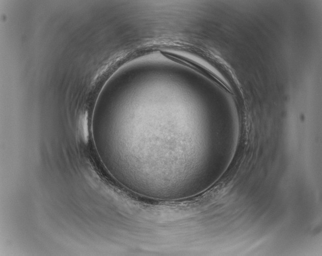 X0000057080020200509091259