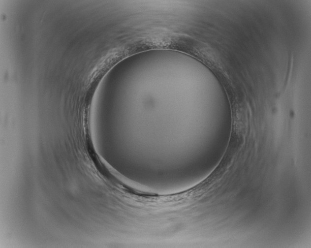 X0000057080023200509091259