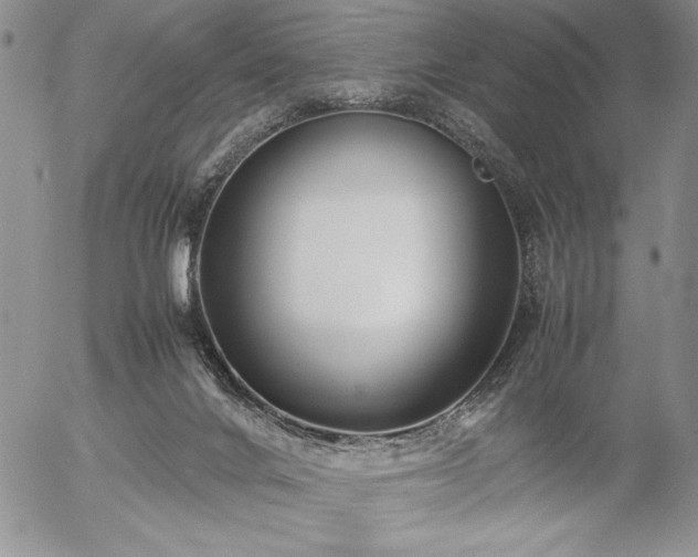 X0000057080024200509091259