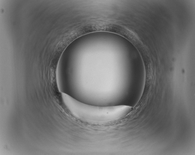 X0000057080025200509091259