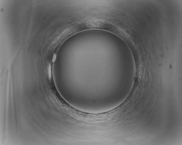 X0000057080027200509091259