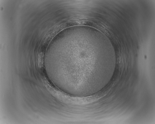 X0000057080030200509091259