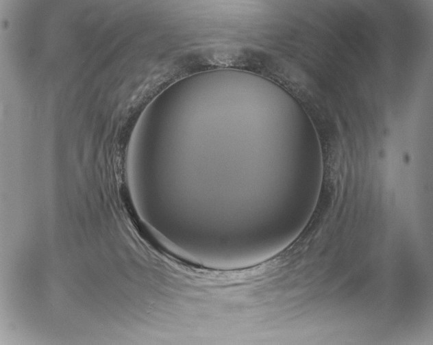 X0000057080031200509091259