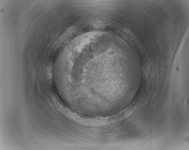 X0000057080032200509091259