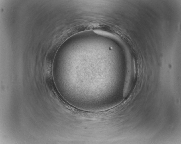 X0000057080033200509091259