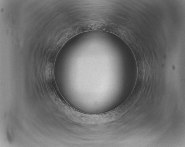 X0000057080034200509091259