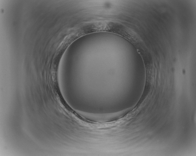 X0000057080035200509091259