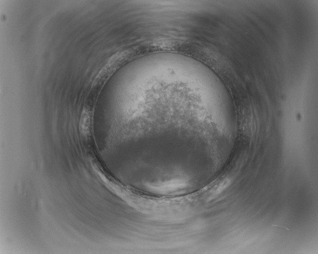 X0000057080036200509091259