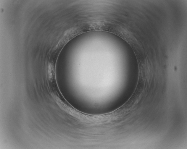 X0000057080038200509091259