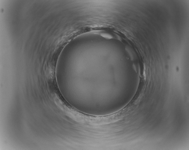 X0000057080039200509091259