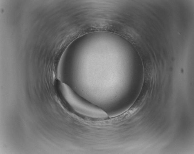 X0000057080040200509091259