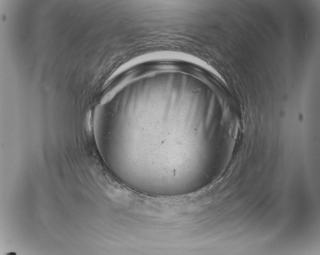 X0000057080041200509091259