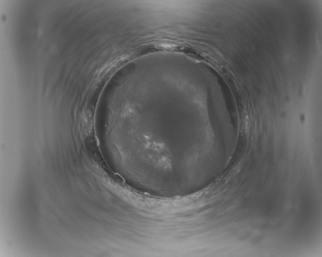 X0000057080043200509091259