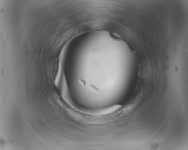 X0000057080044200509091259