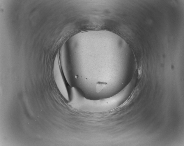 X0000057080045200509091259