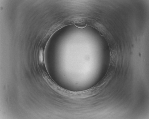 X0000057080046200509091259