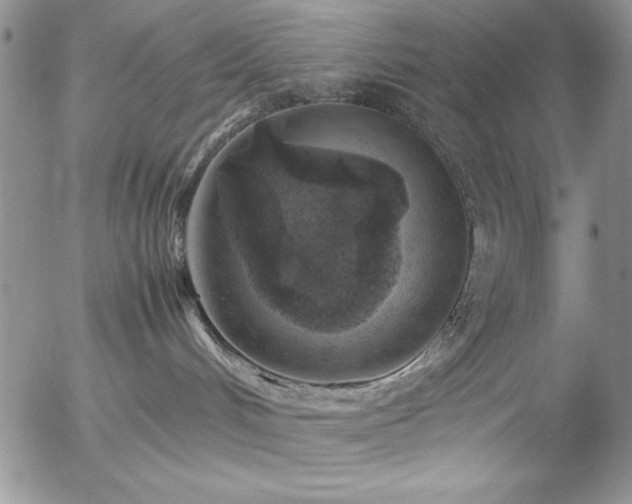 X0000057080048200509091259