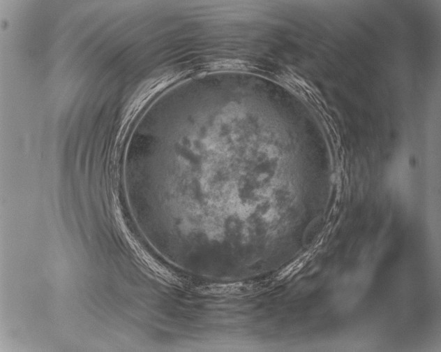 X0000057080049200509091258