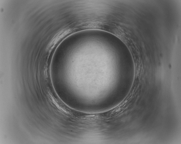 X0000057080050200509091258