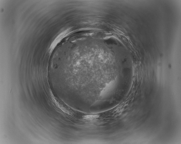 X0000057080051200509091258