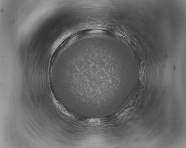 X0000057080052200509091258