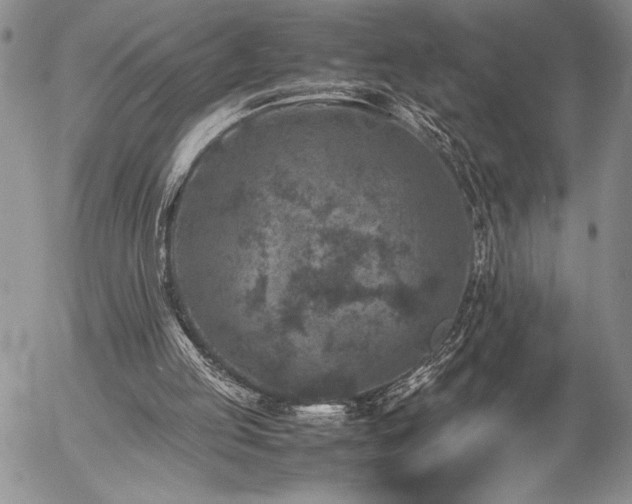 X0000057080053200509091258