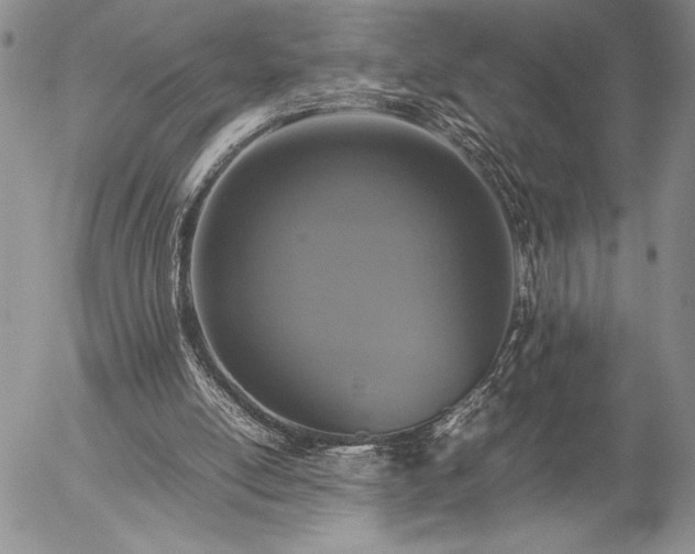 X0000057080054200509091258