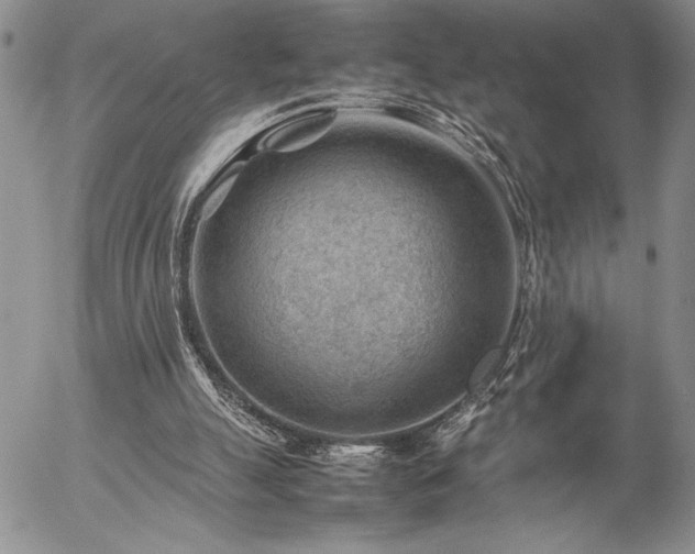 X0000057080055200509091258