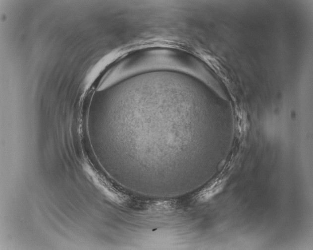 X0000057080056200509091258