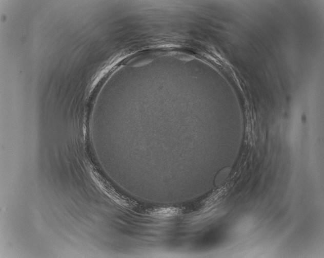 X0000057080059200509091258