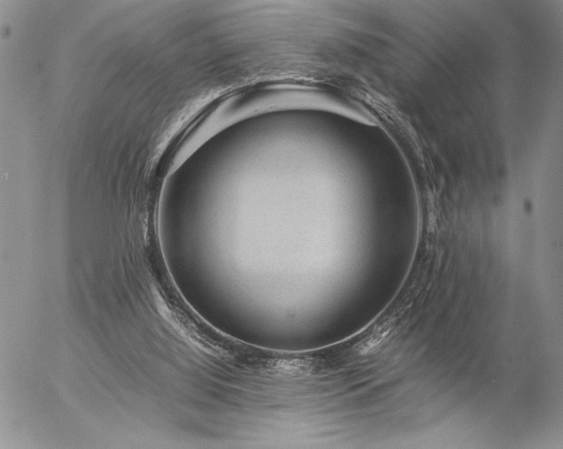 X0000057080060200509091258