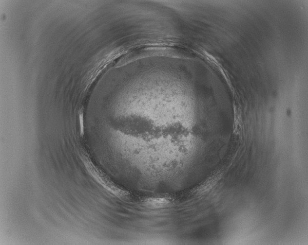 X0000057080061200509091258