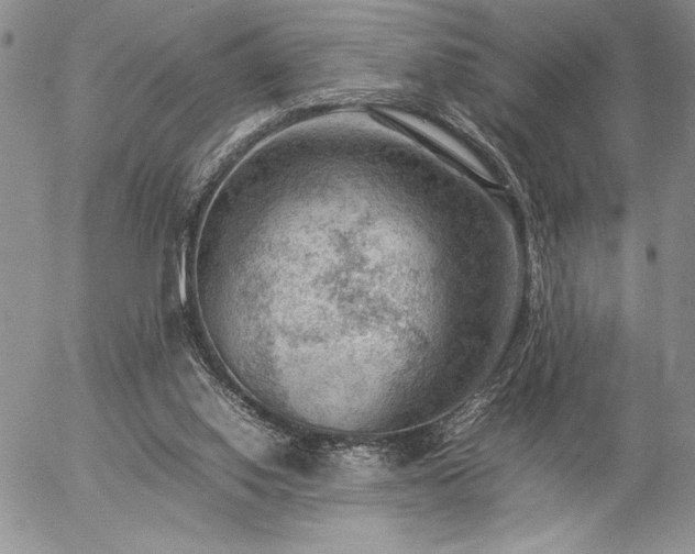 X0000057080062200509091258