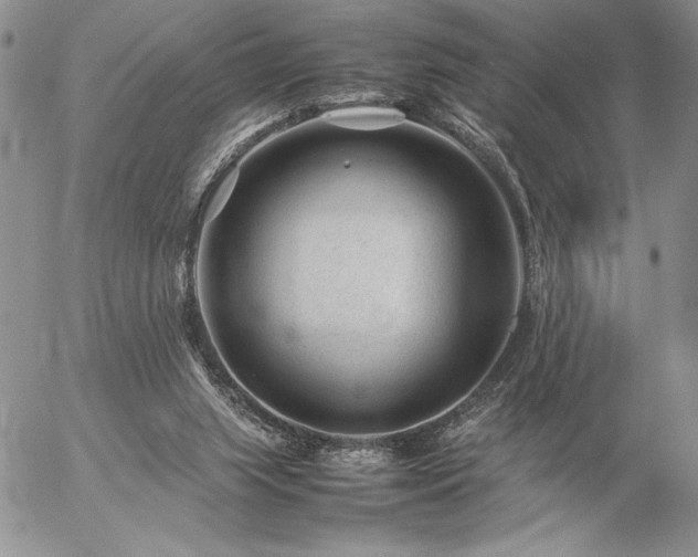 X0000057080063200509091258