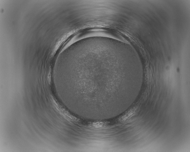 X0000057080064200509091258