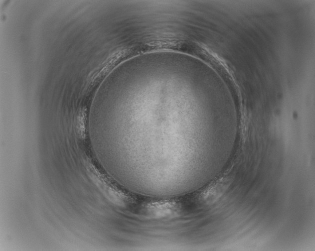 X0000057080065200509091258