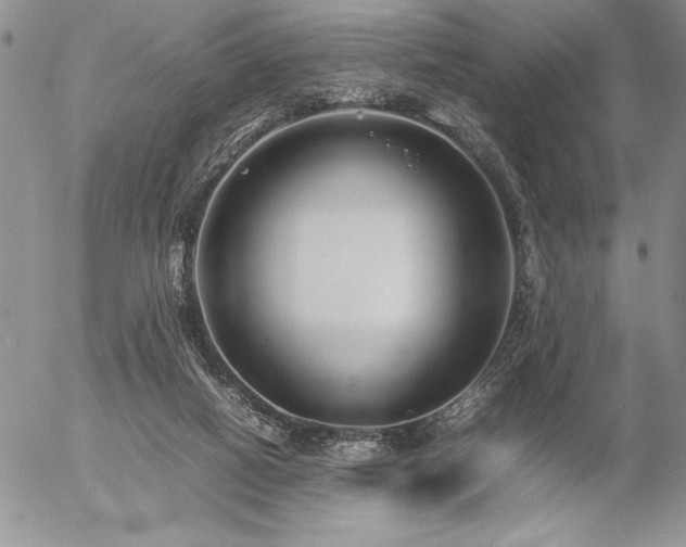 X0000057080066200509091258