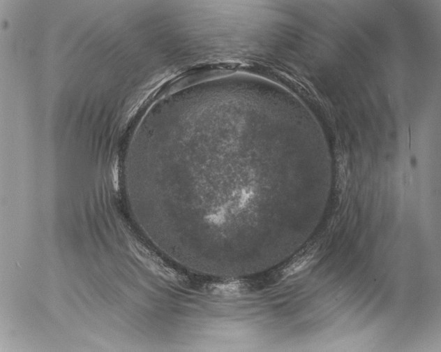 X0000057080068200509091258