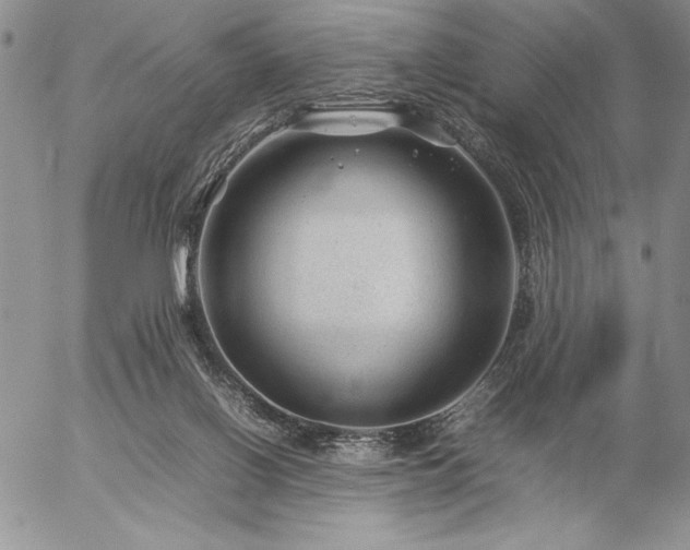 X0000057080070200509091258