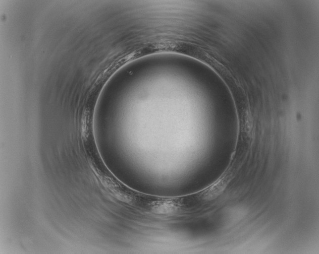 X0000057080074200509091258