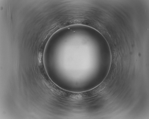 X0000057080075200509091258