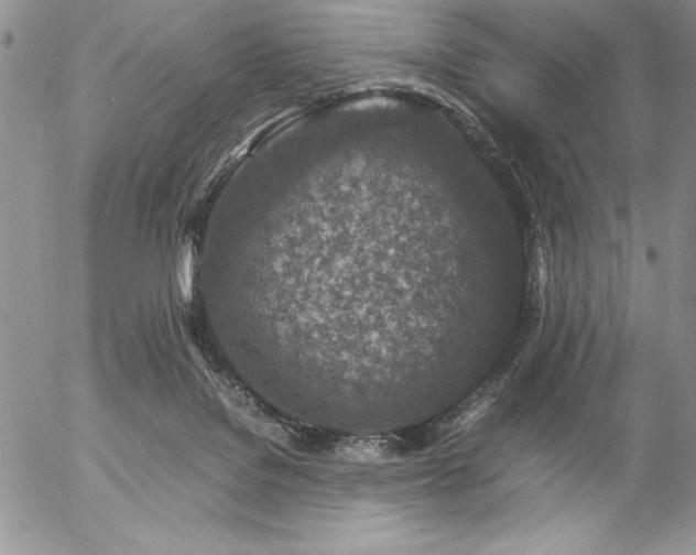 X0000057080076200509091258