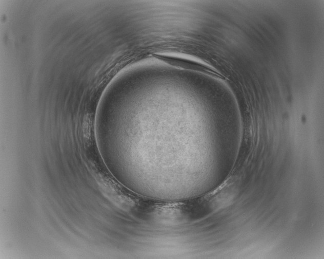 X0000057080078200509091258