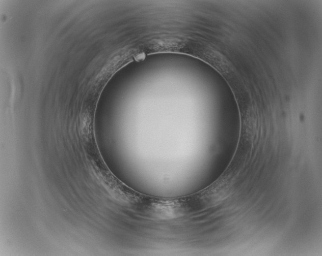 X0000057080079200509091258