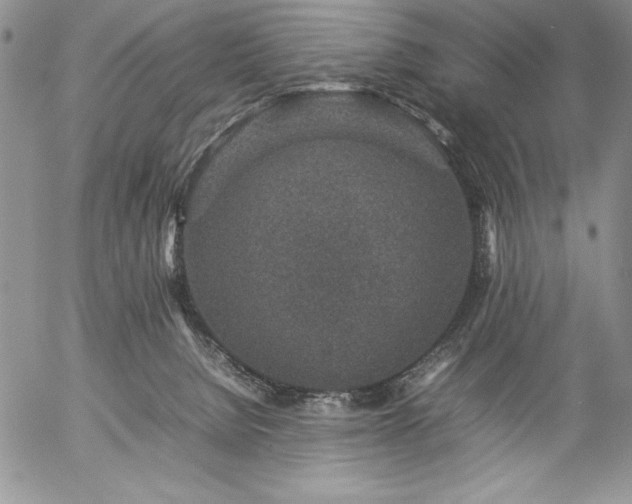 X0000057080080200509091259