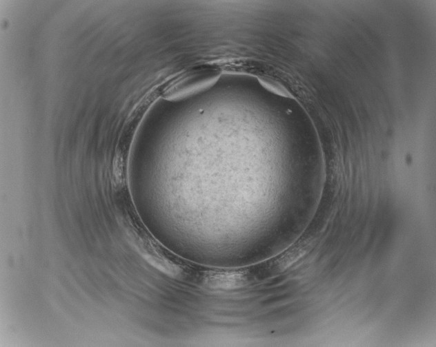 X0000057080081200509091259