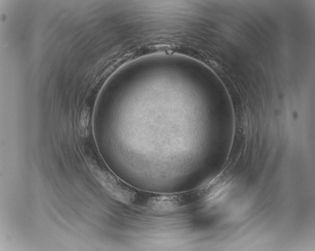 X0000057080082200509091259